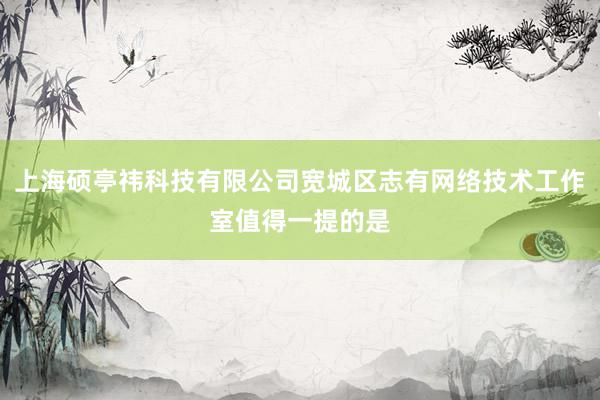 上海硕亭祎科技有限公司宽城区志有网络技术工作室值得一提的是
